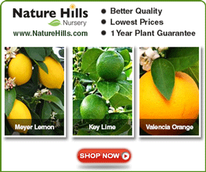 Shop for Citrus Trees at NatureHills.com